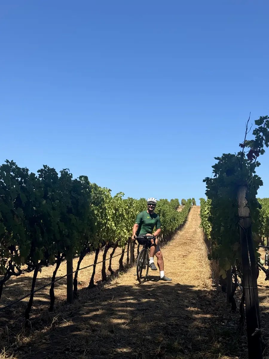 Stellenbosch & Franschhoek Pass